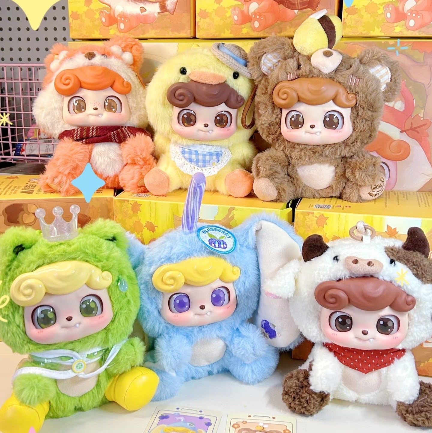 Q KID ANIMAL PER SCHOOL